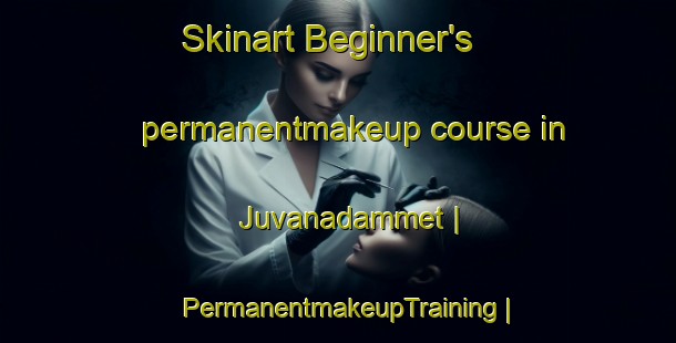 Skinart Beginner's permanentmakeup course in Juvanadammet | PermanentmakeupTraining | PermanentmakeupClasses | SkinartTraining-Sweden